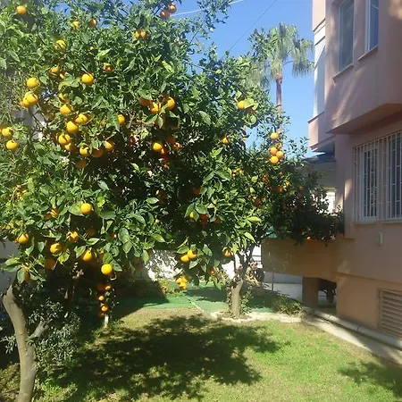 Villa Zafer