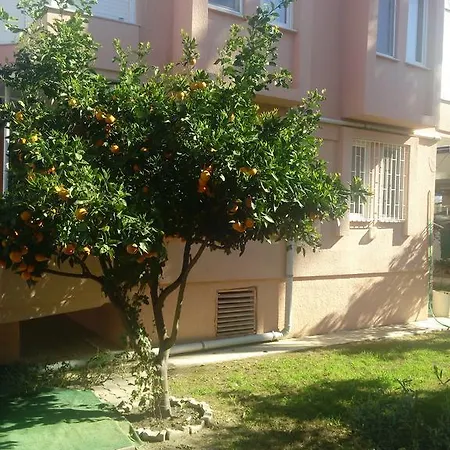 Villa Zafer Konakli