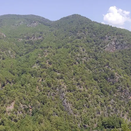 Villa Zafer *