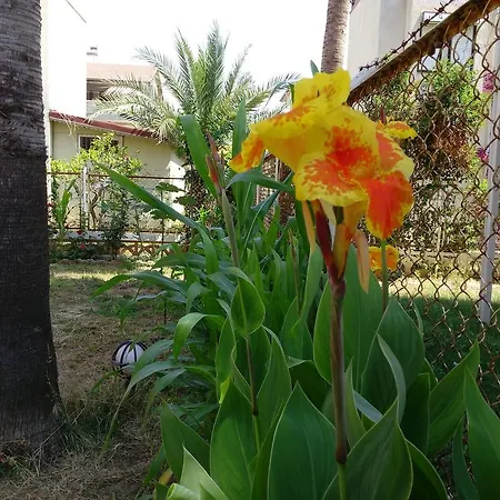 Villa Zafer Konaklı